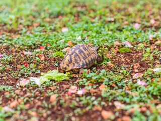 Appartamento Dubrovnik Registrazione all'aperto 3