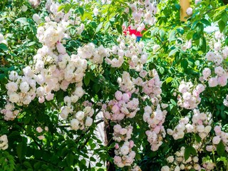 Appartamento Dubrovnik  20