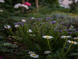 Appartement Mlini Buitenaudio-opname 8