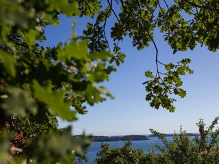 Apartamento Mlini  32