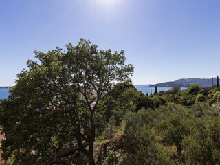 Appartamento Mlini  18