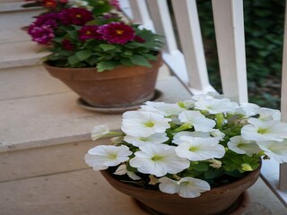 Appartement Mlini Buitenaudio-opname 16