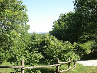 Bauernhof Draž Außenaufnahme 13
