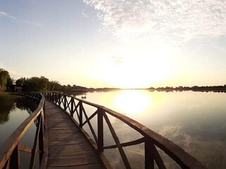 Casa de campo Draž  36