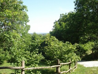 Bauernhof Draž Außenaufnahme 16