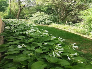 Bauernhof Draž Außenaufnahme 12