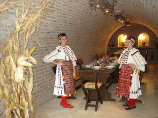 Bauernhof Draž  43