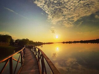 Type de propriété : Ferme Draž  49