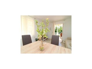 Apartamento Trstenik Características 12