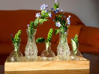 Apartment Zaton bei Dubrovnik Outdoor Recording 2