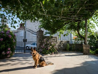 Appartement Dubrovnik  18