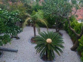 Appartement Molunat  12