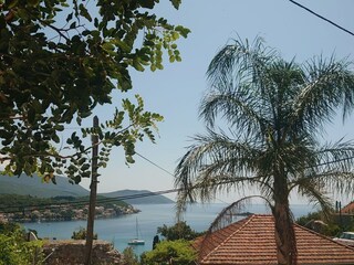 Appartement Molunat  12