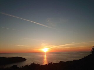 Apartment Molunat  21