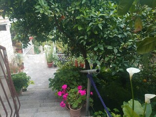 Appartement Molunat  11