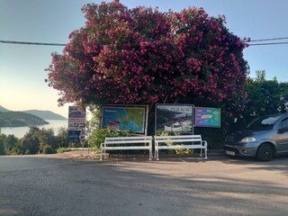 Appartamento Molunat  16