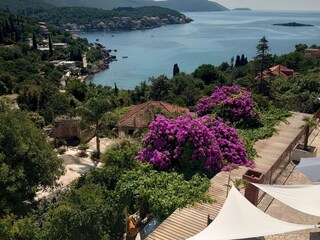 Apartamento Molunat  21