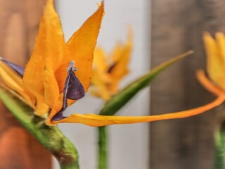 Appartement Supetar  35