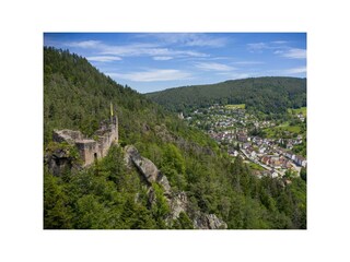 Burgruine Falkenstein