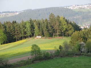 Holiday apartment Tennenbronn Environment 19