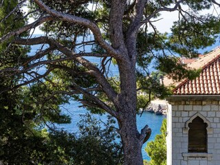 Apartamento Dubrovnik  25