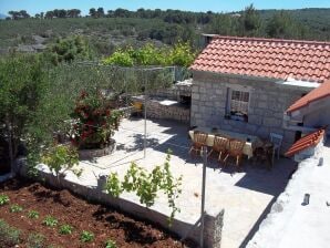 Ferienhaus in Mirca mit Terrasse - Mirca - image1