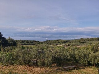 Maison de vacances Mirca  17