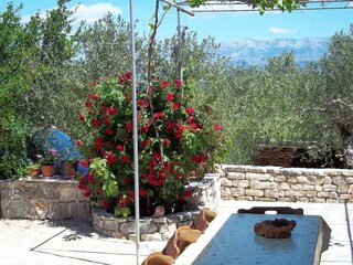Maison de vacances Mirca  17