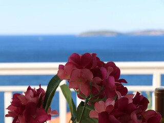 Apartamento Trpanj  22