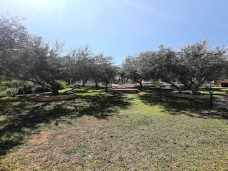 Apartment Orebic Außenaufnahme 16