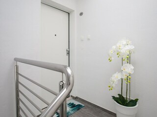 Apartment Bol Outdoor Recording 2