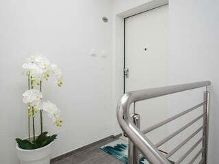 Apartamento Bol Características 16