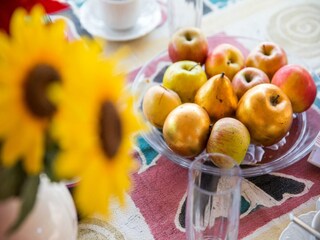 Appartement Zaton bei Dubrovnik Enregistrement extérieur 5