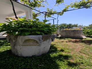 Apartamento Doli Grabación al aire libre 5