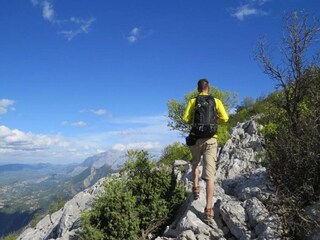 Appartement Stanici  21