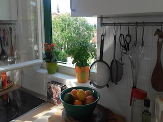 Vakantiehuis Supetar Kenmerken 15