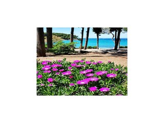 Casa per le vacanze Supetar Registrazione all'aperto 3