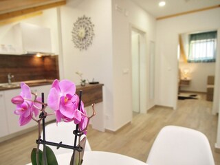 Appartement Dubrovnik Kenmerken 17