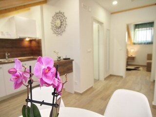 Apartment Dubrovnik Features 16