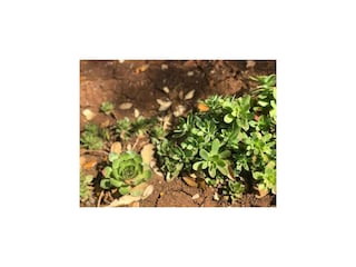Apartamento Cilipi Grabación al aire libre 3