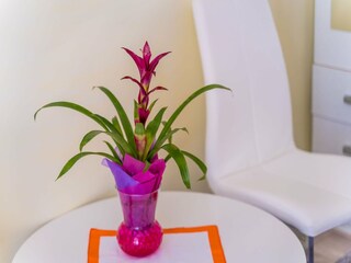 Apartamento Dubrovnik Características 4
