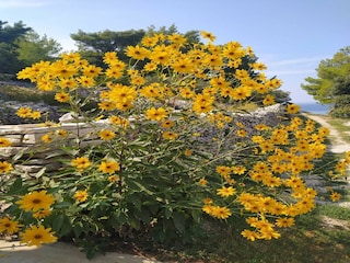 Holiday house Cara  22