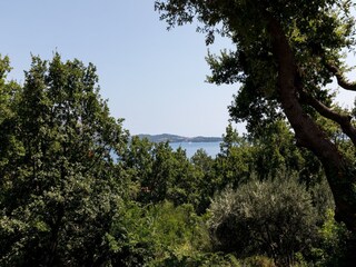 Apartamento Mlini  17