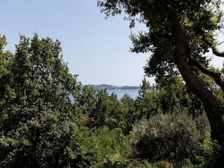 Appartamento Mlini  17