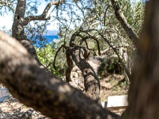 Casa per le vacanze Vela Luka Registrazione all'aperto 2