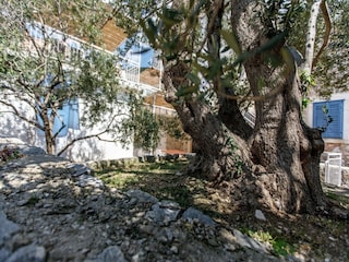 Villa Bol Enregistrement extérieur 5