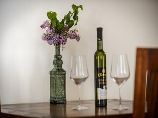 Apartment Dubrovnik Ausstattung 15