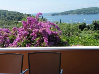 Appartamento Molunat  11