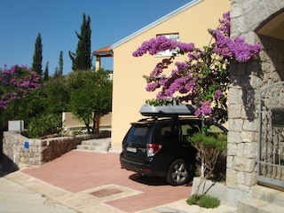 Apartment Molunat  14