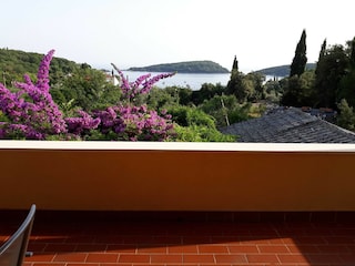 Apartment Molunat  15